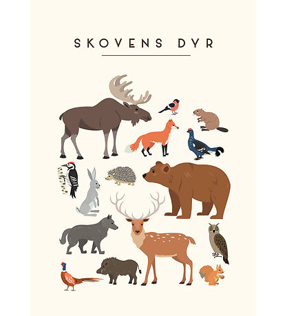 Citatplakat Plakat - Brneplakat - Skovens Dyr - A3