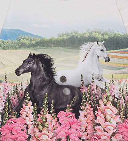 Molo Bluse - Reniza - Meadow Horses
