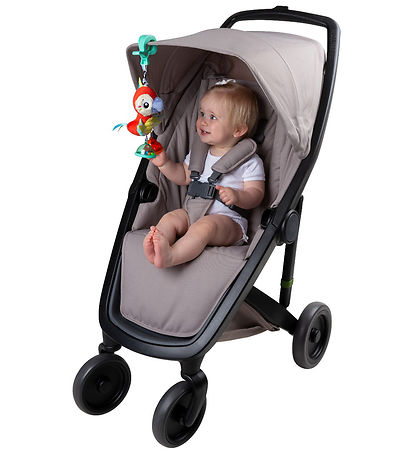 Playgro Ophæng - Dingly Dangly - Mio Macaw