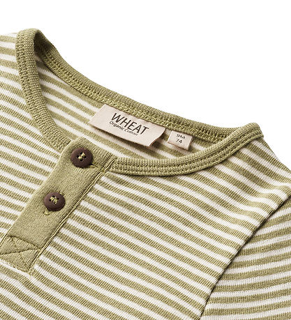 Wheat Body l/ - Benny - Sage Green Stripe