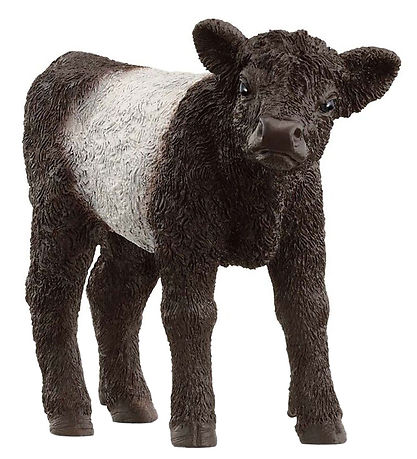 Schleich Farm World - Gallowaykalv - H: 5,7 cm - 13969