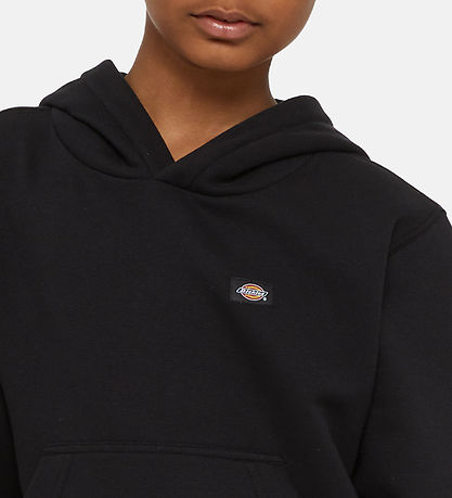 Dickies Httetrje - Youth Oakport - Sort