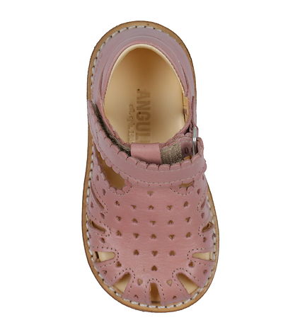 Angulus Sandal - Begynder - Rose