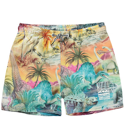 Molo Badeshorts - UV50+ - Niko - Dino Paradis