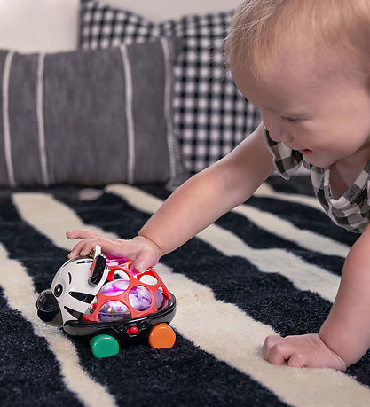 Baby Einstein Aktivitetslegetj - Zen Oball Kretj