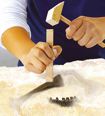 SES Creative Udhug - Explore - Stegosaurus og Skelet