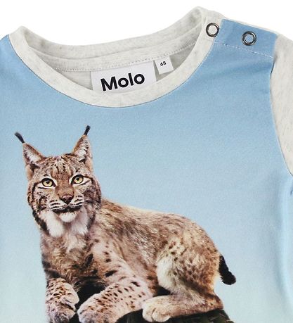 Molo T-Shirt - Eddie - Cactus Cat