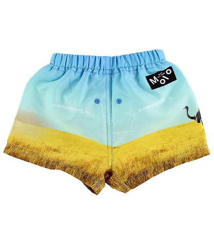 Molo Badeshorts - UV50+ - Newton - Rhino