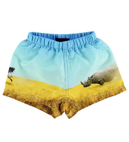 Molo Badeshorts - UV50+ - Newton - Rhino