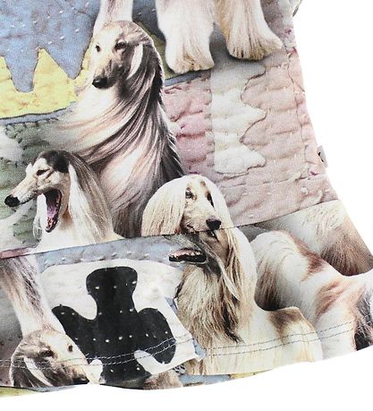 Molo T-shirt - Ebba - Dogtastic