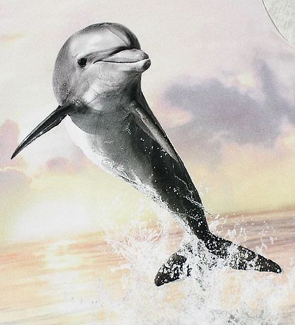 Molo Kjole - Corina - Jumping Dolphin