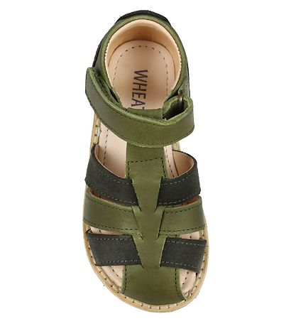 Wheat Sandaler - Bailey - Olive