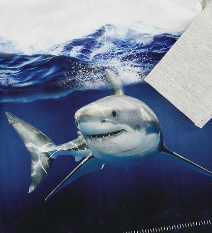 Molo Bluse - Enovan - Shark Smile