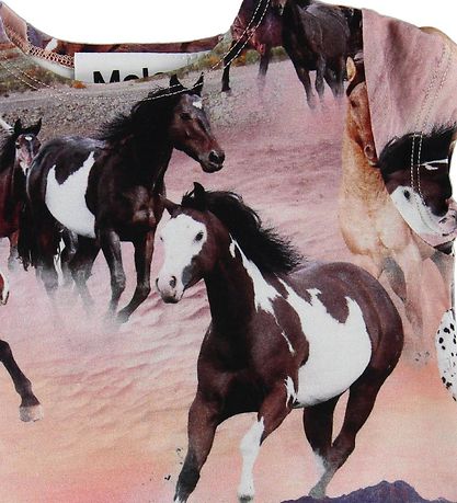 Molo T-shirt - Ebba - Wild Horses