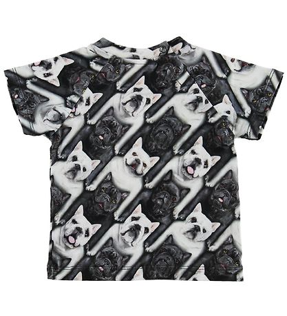 Molo T-shirt - Emmett - English Bulldog