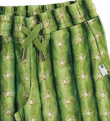 Molo Sweatshorts - Arnt - Cactus