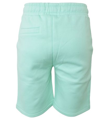 Hound Shorts - Mint Green