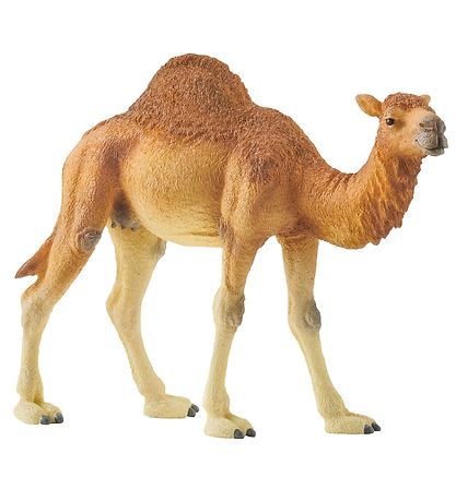 Schleich Dyr - H:11 cm - Dromedar 14832