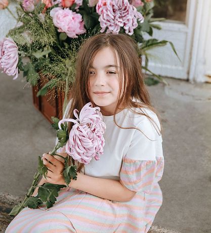 Soft Gallery T-shirt - Hilly - Dewkist Candystripe