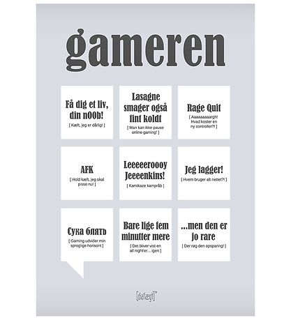 Dialgt Plakat - 30x42 - Gameren