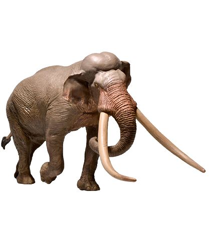 Eofauna - 12,5 x 24 cm - Straight-tusked Elephant