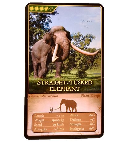 Eofauna - 12,5 x 24 cm - Straight-tusked Elephant
