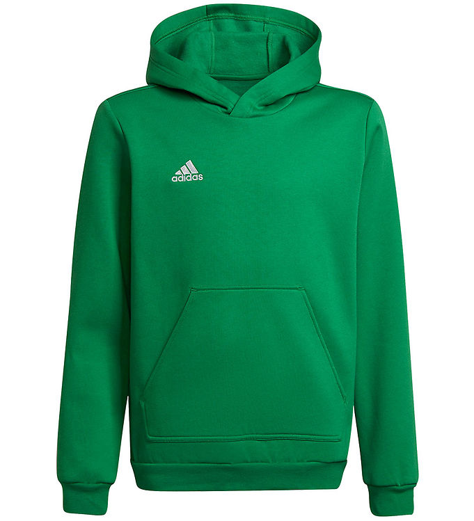 Adidas Performance Hættetrøje Ent22 Hoody Y Teagrn/white