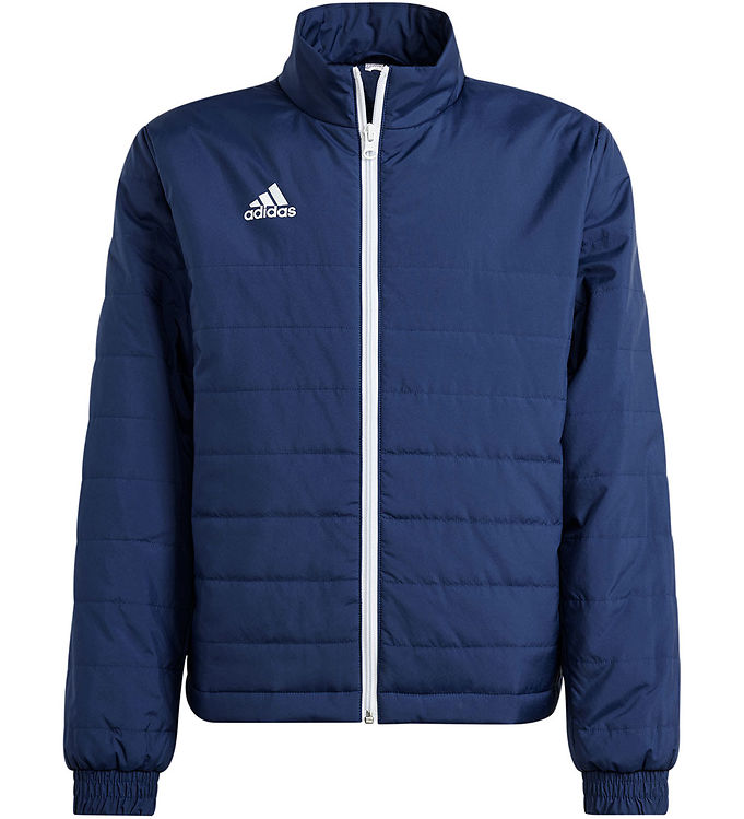 Adidas Performance Dynejakke Ent22 Ljkty Tenabl