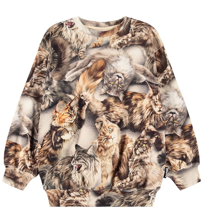 Molo Sweatshirt – Monti – Cattitudes