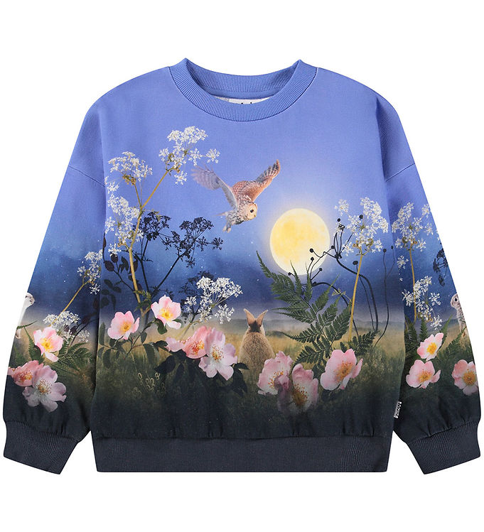Molo Sweatshirt – Maxi – Magic Moonrise