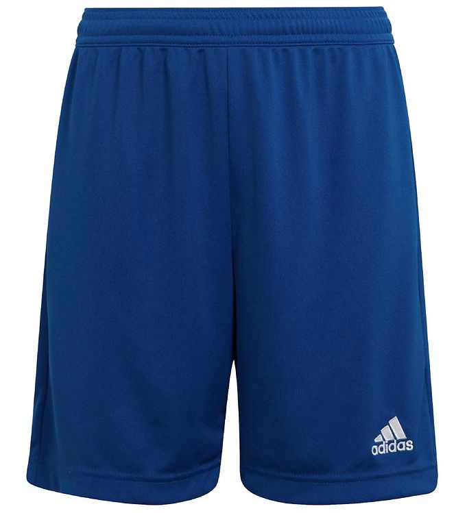 Billede af adidas Performance Shorts - Blå/Hvid