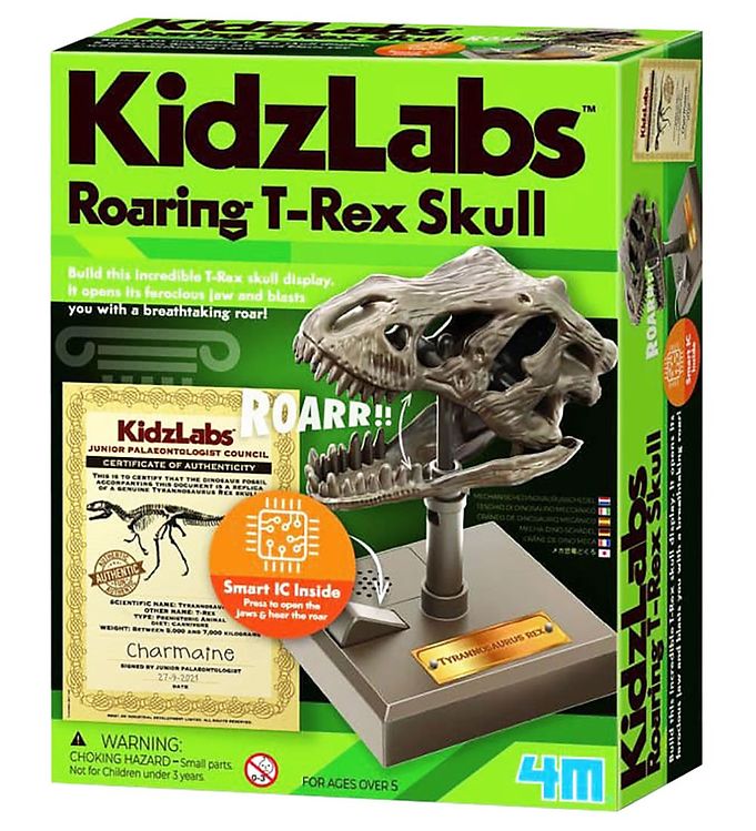 Billede af 4M Kranium - KidzLabs - Brølende T-Rex Kranium