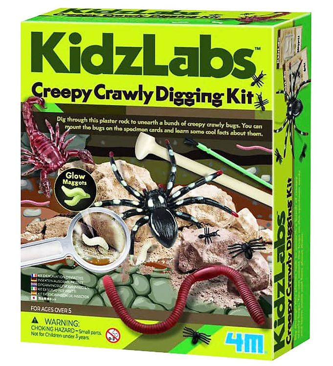 Billede af 4M Grave-sæt - KidzLabs - Uhyggelig Krybende Grave-Sæt