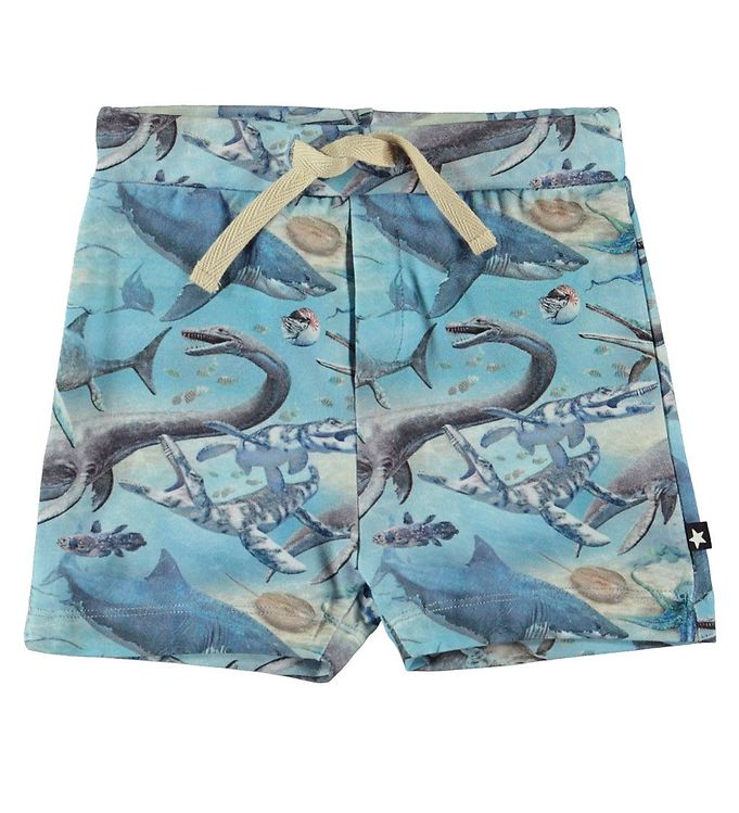 Molo Shorts - Simroy - Ancient Ocean