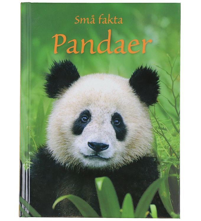 Image of Gads Forlag Bog - Små Fakta - Pandaer - Dansk (303727-4378003)