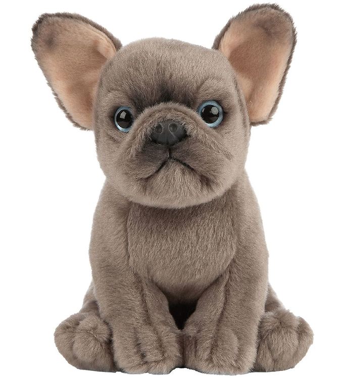 Image of Living Nature Bamse - 18x8 cm - Fransk Bulldog Hvalp - Brun (305438-4409389)