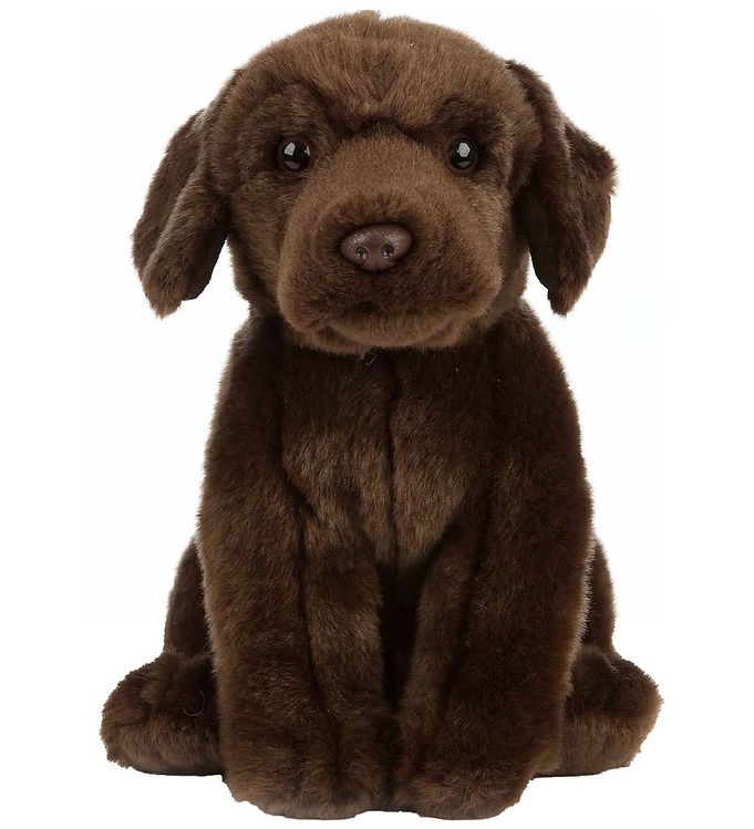 Image of Living Nature Bamse - 23x11 cm - Labrador - Brun (305484-4409817)