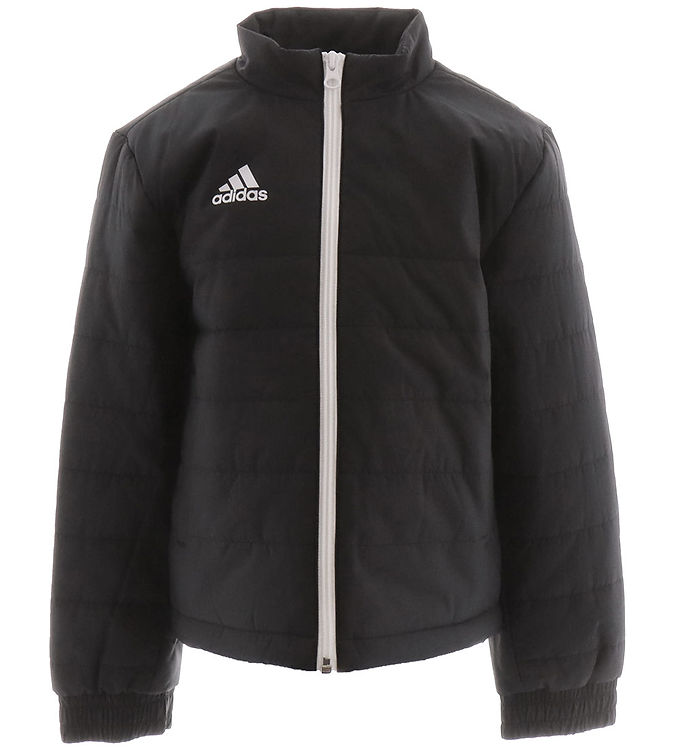 Adidas Performance Dynejakke Ent22 Sort