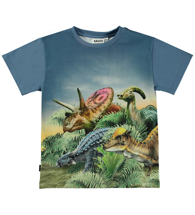 Molo Dino Friends Raveno T-Shirt