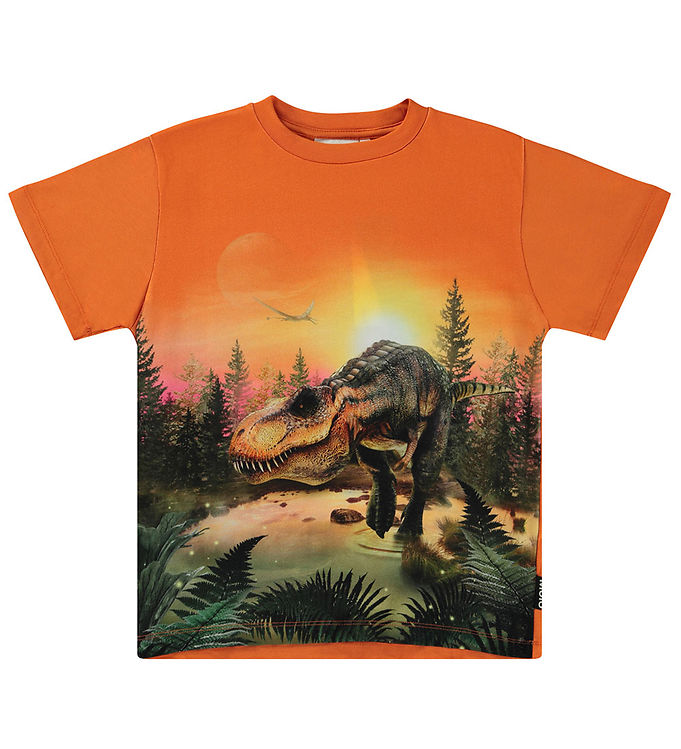 Billede af Molo T-shirt - Riley - Dino Lake