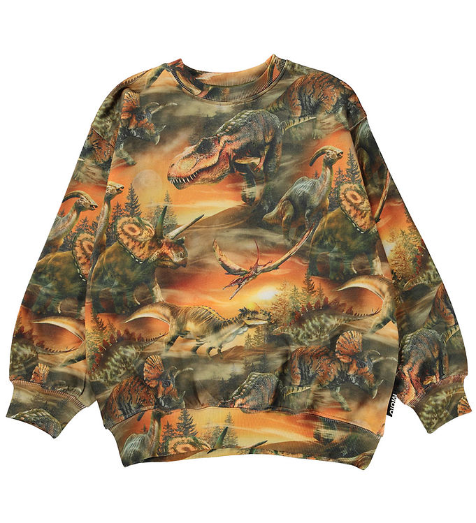 10: Molo Sweatshirt - Monti - Dino Dusk