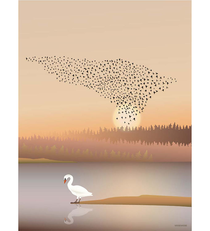 Vissevasse Plakat - 50x70 cm - Murmuration