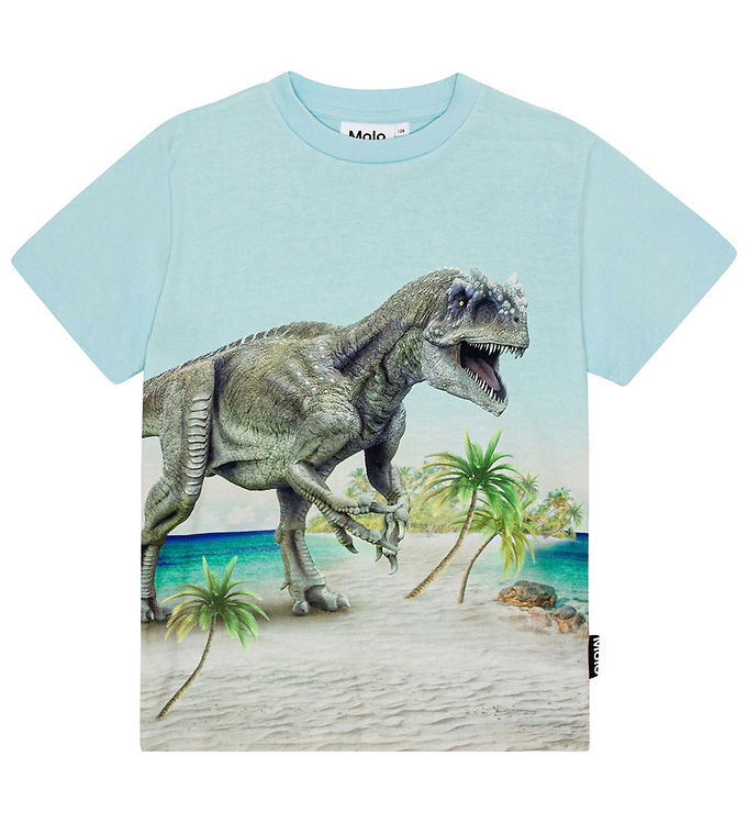 Molo T-shirt - Roxo - Beach Dino