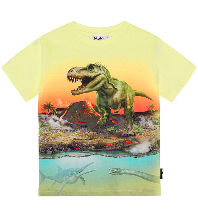 Molo T-shirt - Riley - Volcano Dino