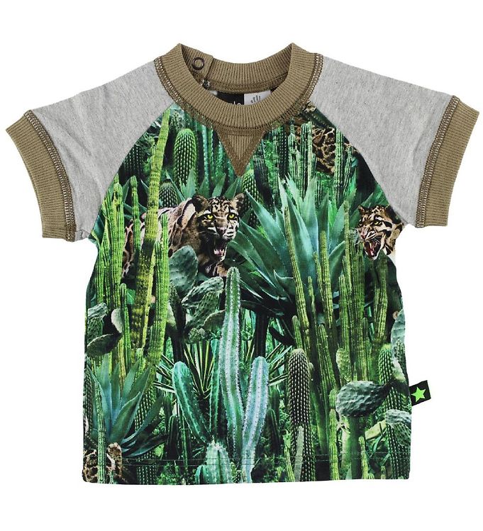 Molo T-shirt - Eton - Cactus Bite