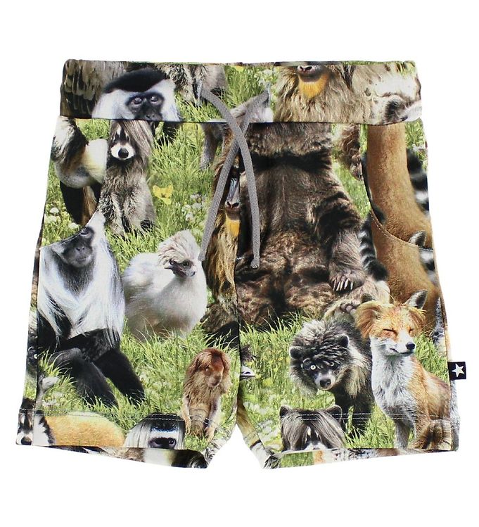 Molo Shorts Simroy Hairy Animals