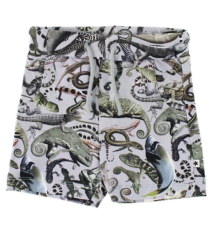 Molo Shorts Simroy Entangled