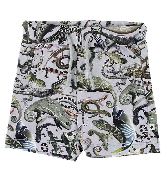 #3 - Molo Shorts - Simroy - Entangled