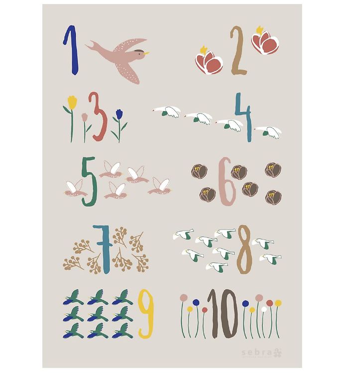 Plakat Fra Sebra -  Singing Birds