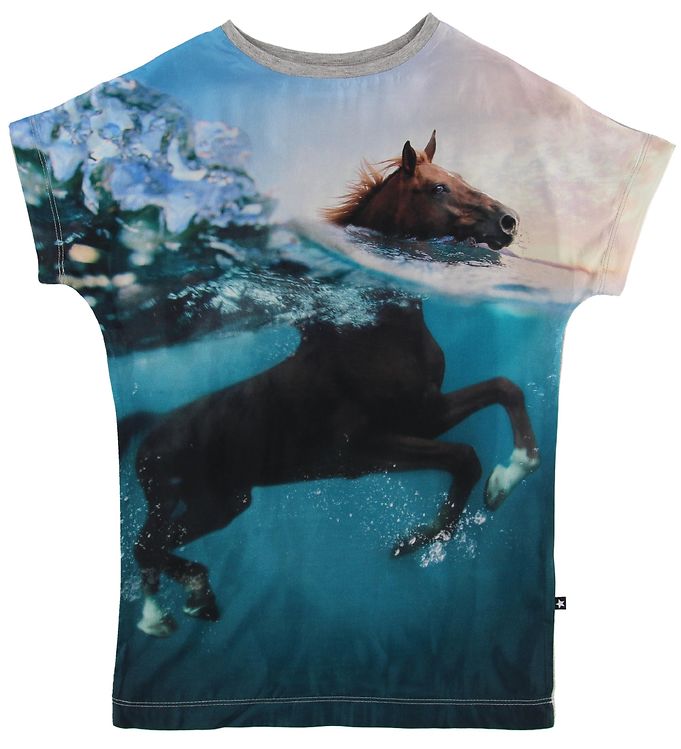 Image of Molo T-shirt - Cyrille - Swimming Horse - 92/98 - Molo T-Shirt (129162-702202)